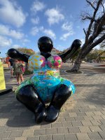 IMG_9284.jpeg