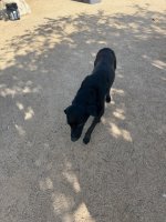 IMG_3984.jpeg