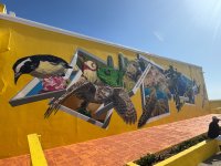 IMG_3988.jpeg