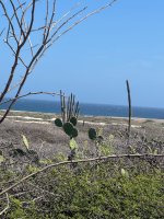 IMG_9411.jpeg