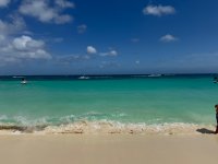 IMG_9417.jpeg
