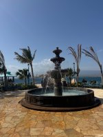 IMG_4016.jpeg