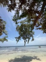 IMG_9482.jpeg