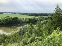 IMG_0751.jpeg