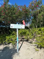 IMG_9578.jpeg