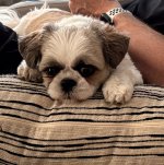 IMG_0757.jpeg