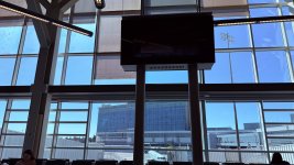 IMG_5153.jpeg