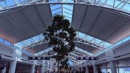 IMG_5155.jpeg