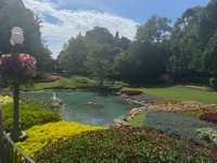 IMG_4376.jpeg