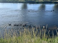 IMG_8066.jpeg