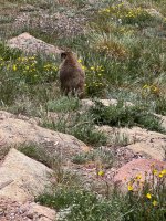 IMG_8086.jpeg
