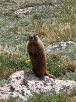 IMG_8091.jpeg