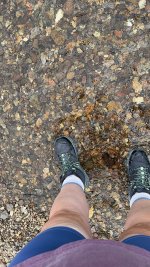 IMG_8098.jpeg