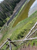 IMG_8106.jpeg