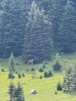 IMG_8107.jpeg