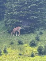 IMG_8108.jpeg