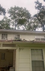 IMG_8120.jpeg