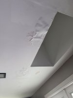 IMG_8121.jpeg
