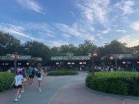 IMG_4389.jpeg