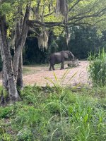 IMG_0034.jpeg