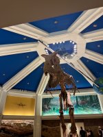 IMG_4398.jpeg