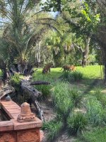 IMG_0048.jpeg