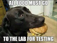 1755606344645.png