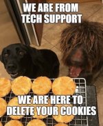 IMG_2981.jpeg