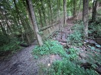 IMG_8149.jpeg