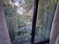 IMG_8140.jpeg