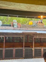 IMG_4404.jpeg