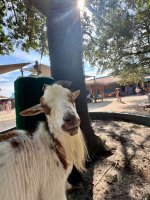 IMG_0075.jpeg