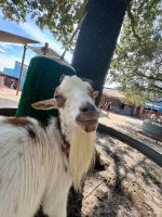 IMG_0076.jpeg