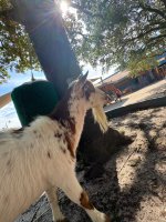 IMG_0072.jpeg