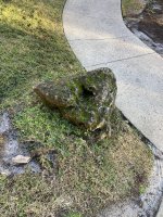 IMG_0461.jpeg