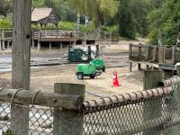 IMG_2049.jpeg