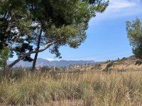 IMG_8190.jpeg