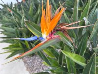 IMG_8194.jpeg