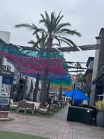 IMG_8200.jpeg