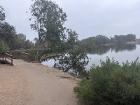 IMG_8249.jpeg