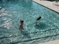 IMG_1748.jpeg