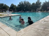 IMG_1766.jpeg