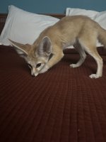 IMG_9996.jpeg