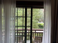 IMG_3214.jpeg
