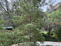 IMG_3215.jpeg