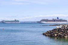 IMG_9756.jpg