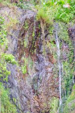 IMG_9792.jpg