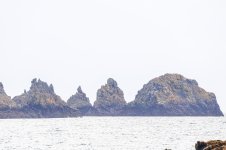 IMG_9798.jpg