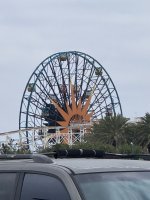 IMG_8259.jpeg