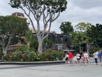IMG_8269.jpeg
